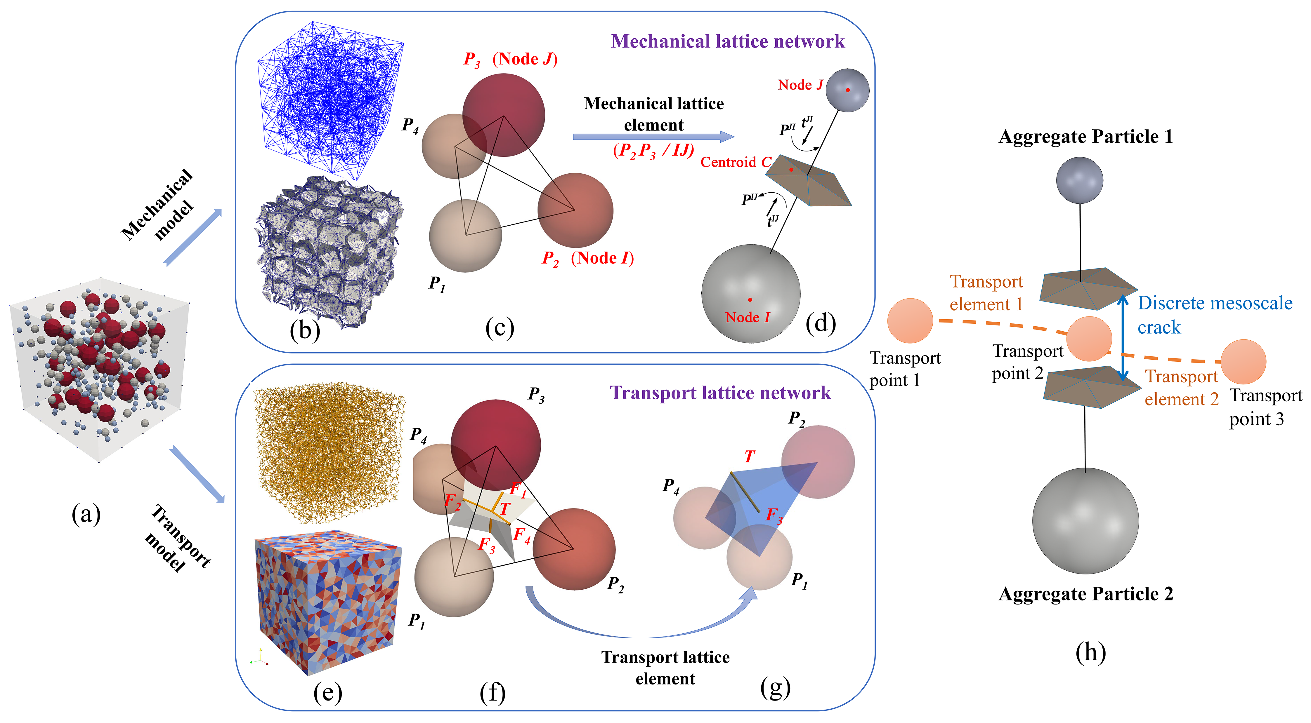Dual lattice network topology: (a) Random placement of particles; (b) Mechanical lattice struts and facets; (c) Tetrahedron consisting of particles and lattice struts; (d) A lattice element; (e) Transport lattice network and transport cells; (f) Transport lattice element dual to the Delaunay; (g) Transport lattice element and the volume it represents; (h) Concept of flow path parallel to crack.