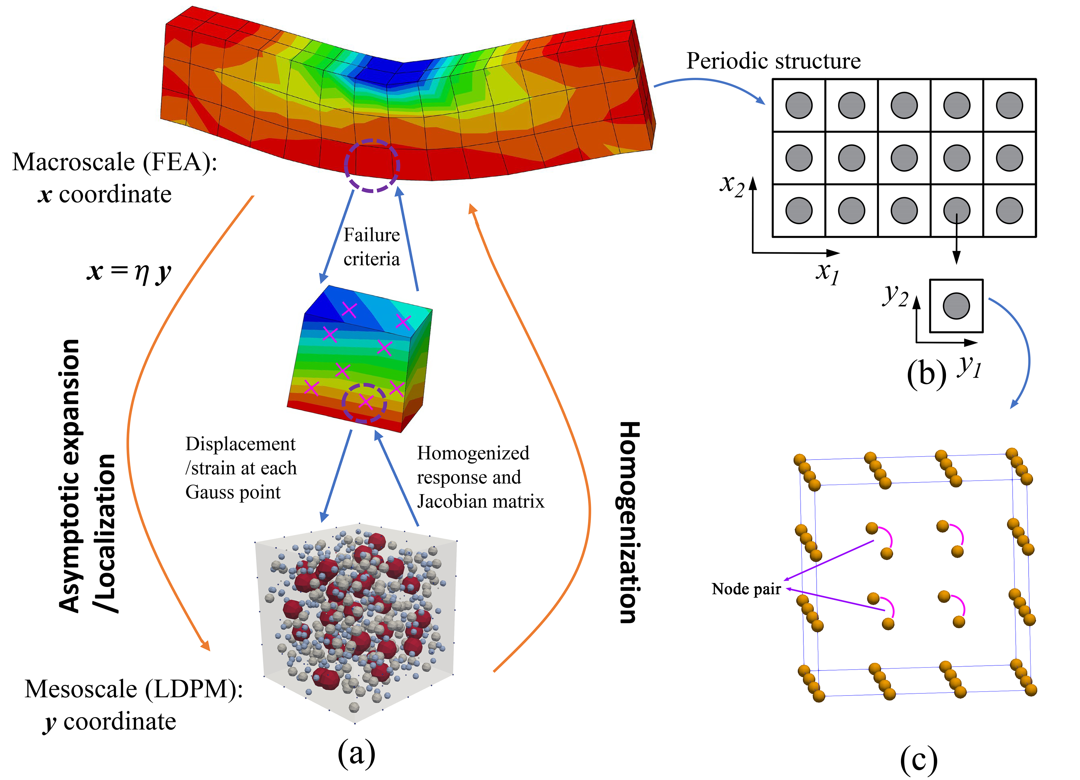 Graphical representation of M-LDPM: (a) Asymptotic expansion homogenization; (b) Periodic structure at the mesoscopic domain; (c) Distribution of particles on RVE surfaces.