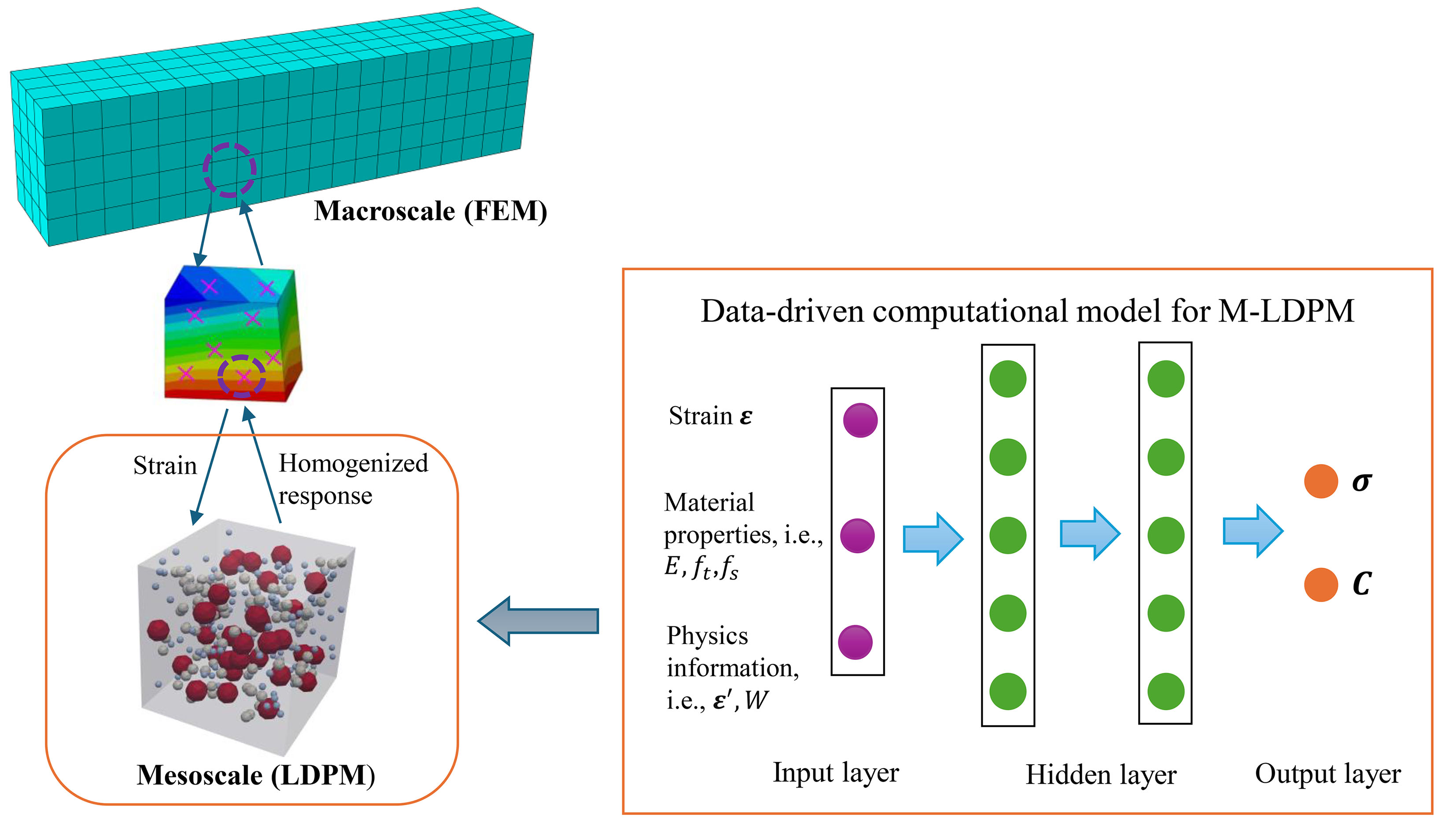 Diagram of the data-driven computational model for M-LDPM.